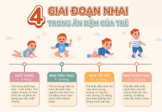 Phương pháp ăn dặm kiểu Nhật được phân thành 4 giai đoạn