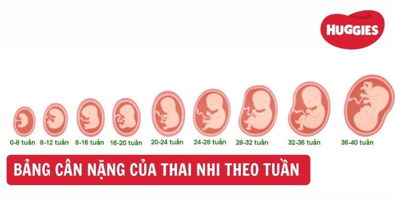 7. Kết Luận: Chăm Sóc Thai Kỳ 24 Tuần Để Chuẩn Bị Cho Thai Kỳ Tiếp Theo