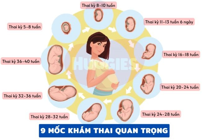 Mẹ bầu cần nhớ 9 mốc khám thai quan trọng trong thai kỳ