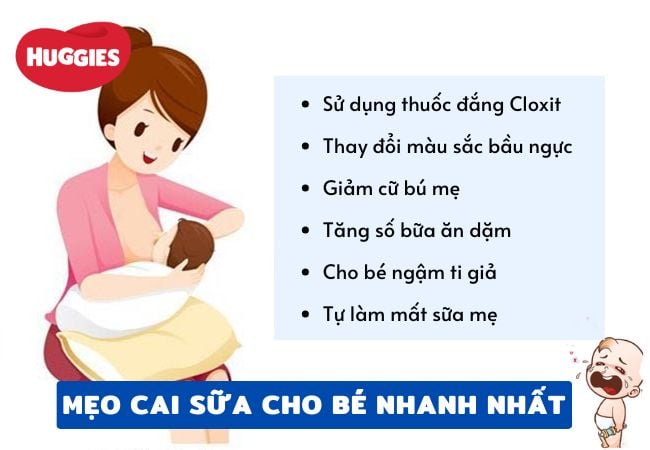 Một số cách cai sữa cho bé nhanh nhất