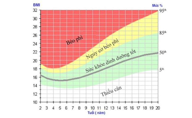 Biểu đồ chỉ số BMI đánh giá chiều cao, cân nặng