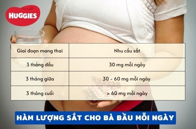 Mẹ bầu bổ sung sắt khoảng 30mg sắt mỗi ngày 