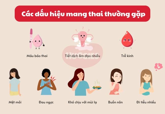 Các dấu hiệu nhận biết mang thai thường gặp