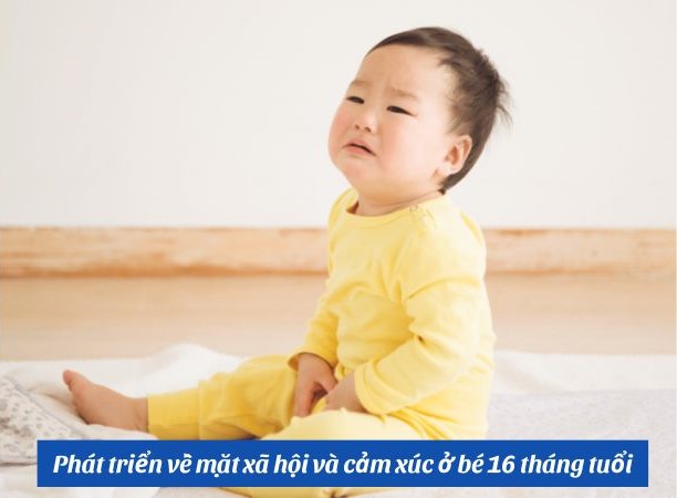 Trẻ 16 tháng tuổi bắt đầu biết giữ đồ chơi của mình 