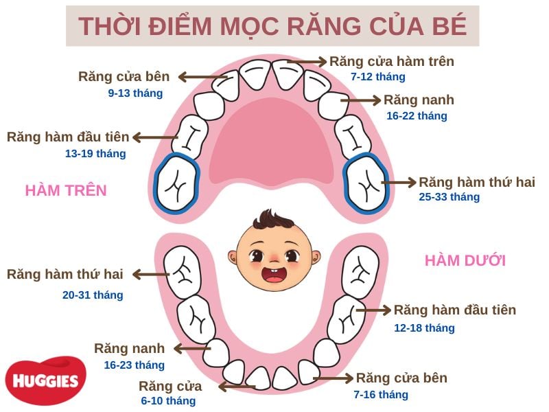 Tổng Kết Và Kết Luận