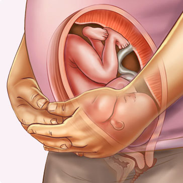 Dấu hiệu nào cho thấy thai nhi trong tuần thai 31 đang phát triển tốt?
