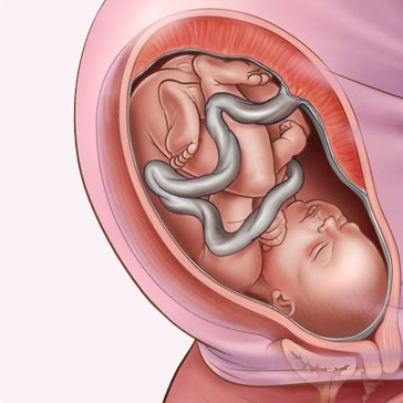 Chiêm ngưỡng hình ảnh một thai nhi 35 tuần tuổi với vẻ đáng yêu và trong trẻo. Đây chính là giây phút đầy cảm xúc của mẹ trước sự phát triển của đứa con trong bụng.