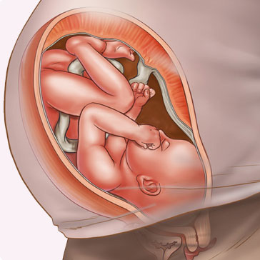 Làm thế nào để biết em bé 37 tuần trong bụng mẹ có phát triển bình thường hay không?
