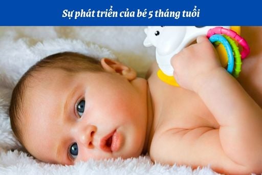 Bé 5 tháng tuổi biết làm gì?
