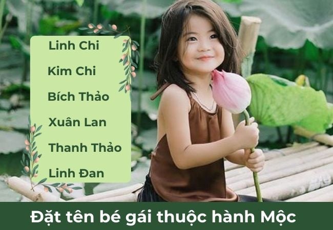 đặt tên con gái sinh năm 2025 hành Mộc