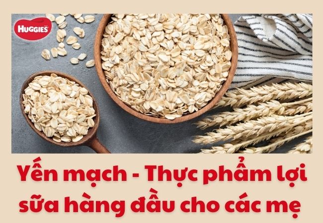 Yến mạch - Ngũ cốc lợi sữa hàng đầu cho mẹ