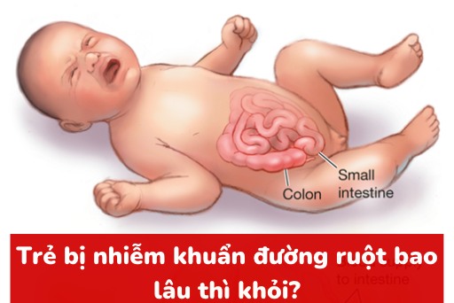 Trẻ sơ sinh có khả năng bị nhiễm khuẩn đường ruột ở giai đoạn nào và tại sao?
