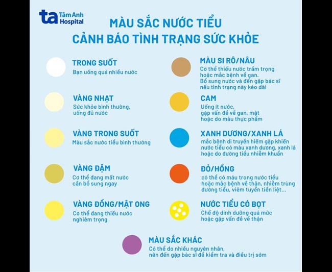 Bảng màu nước tiểu