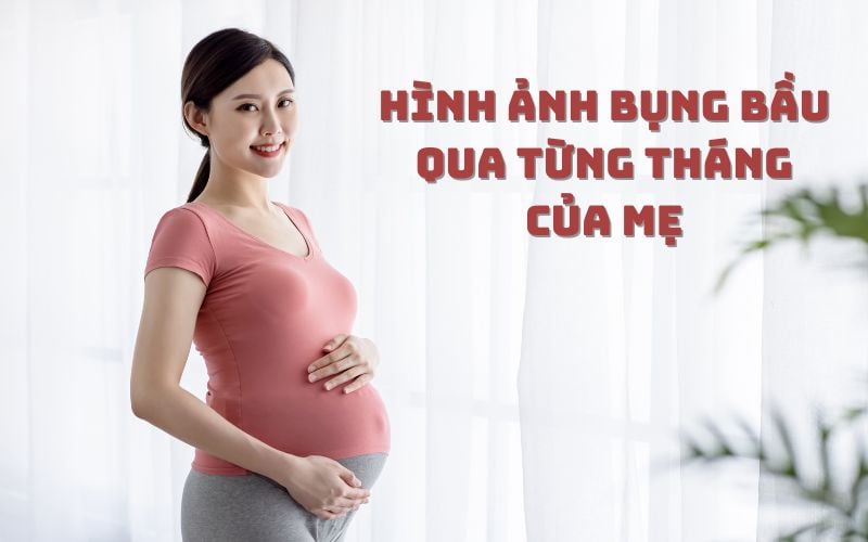 Hình ảnh bụng bầu qua từng tháng của mẹ thay đổi như thế nào?