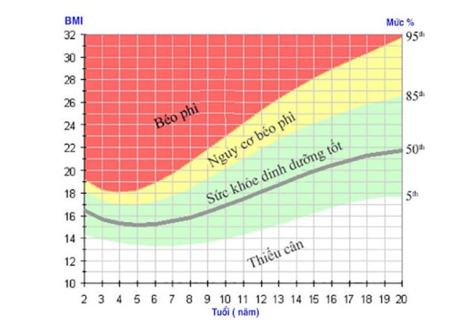 Biểu đồ chỉ số BMI thể hiện dưới dạng %