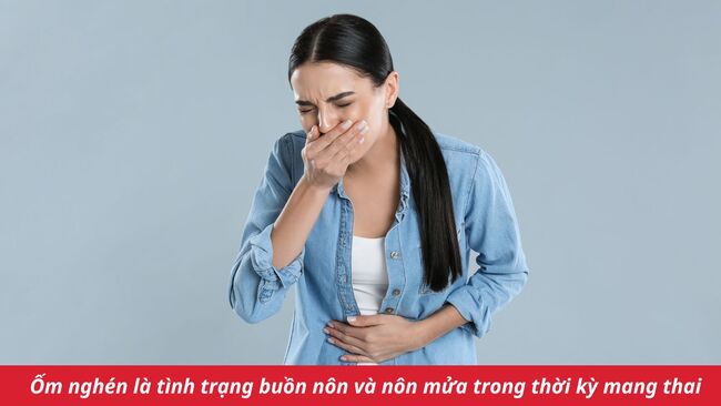 Có thai bao lâu thì buồn nôn? Những thông tin mẹ bầu cần biết