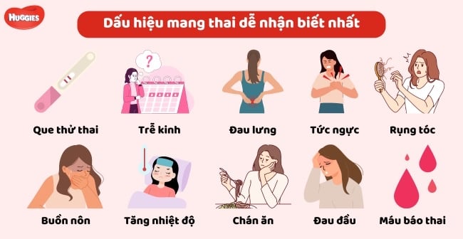 7. Các Câu Hỏi Thường Gặp Về Triệu Chứng Mang Thai