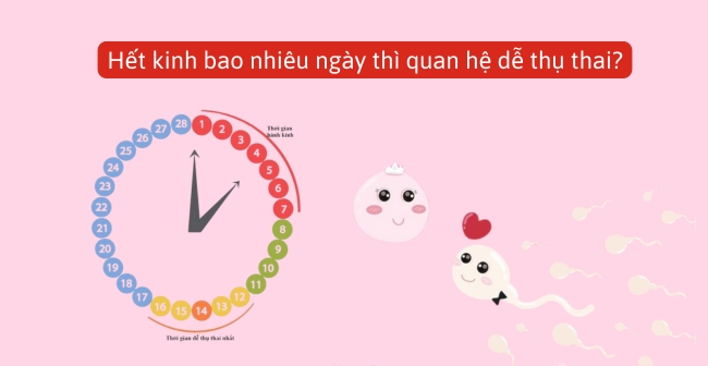 Hết kinh bao nhiêu ngày thì quan hệ dễ thụ thai?