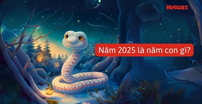 Năm 2025 là năm con gì? Đôi nét về năm Ất Tỵ 2025