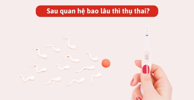 Sau quan hệ bao lâu thì thụ thai?