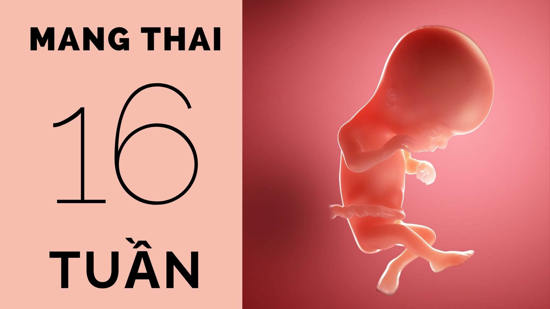 Thai nhi 16 tuần tuổi là mấy tháng