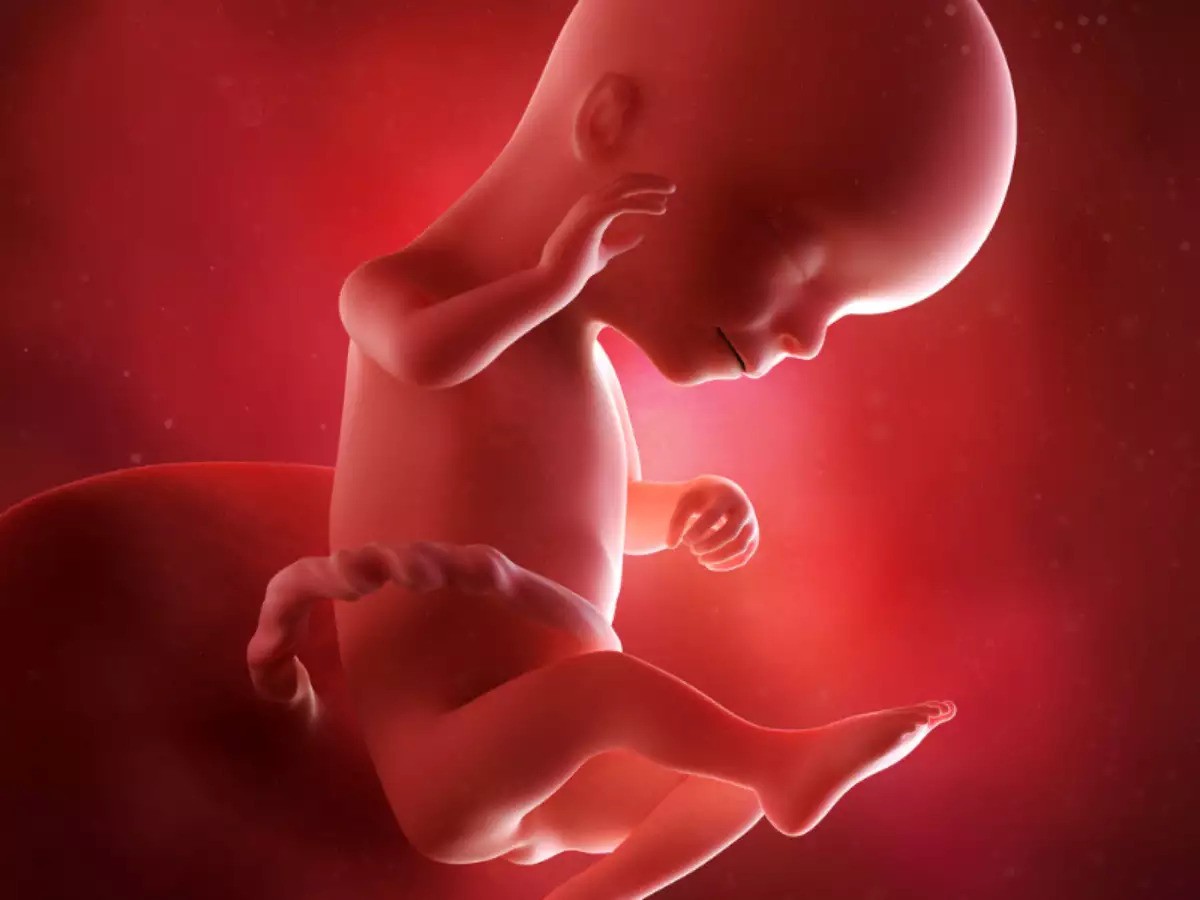 Sự phát triển của thai nhi 16 tuần