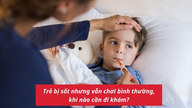 Tổng Hợp Thông Tin Về Tình Trạng 