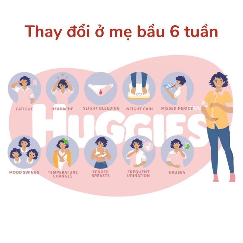 Những thay đổi ở cơ thể mẹ khi thai 6 tuần tuổi