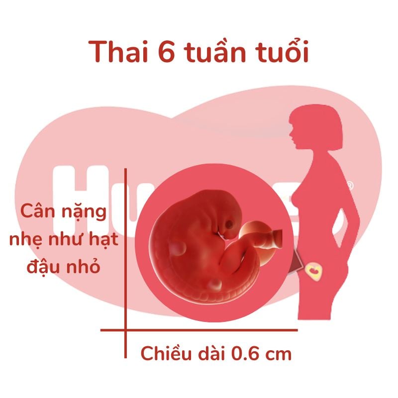 Khi nào nên gặp bác sĩ?